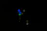 DSC05338.jpg